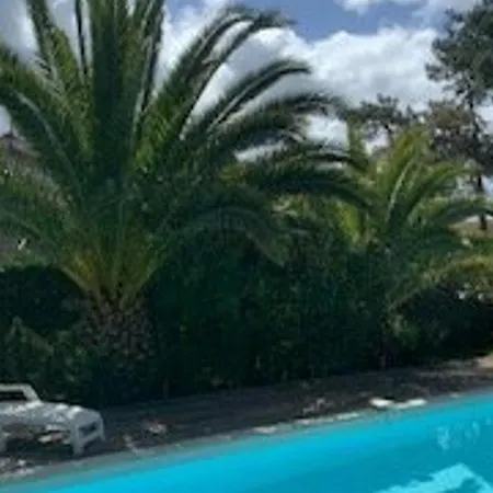 Avec Piscine Privative, Animaux Admis - 8 Pers. - Fr-1-878-13 Villa
